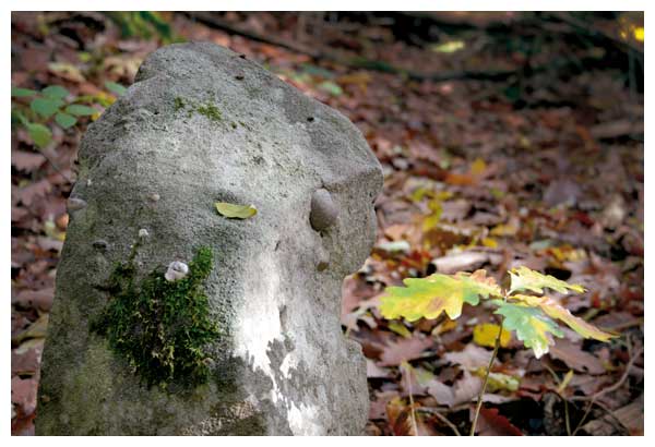 Les menhirs de l'Appenthal